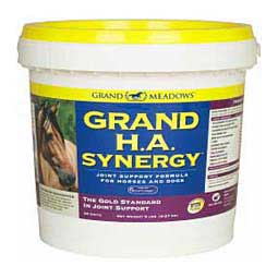 Grand HA Synergy  Grand Meadows